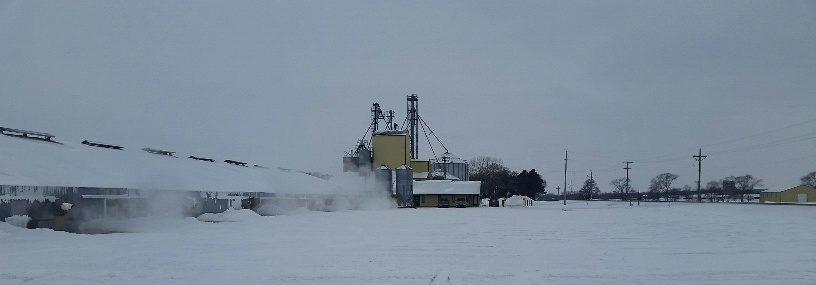 Keeping Hens Safe, Warm and Healthy in Harsh Weather